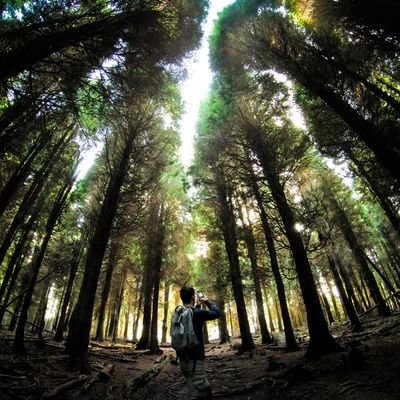 aitor_idoyaga's profile picture. Economista. Déspota sin ilustrar.