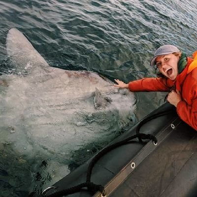 mariecor001's profile picture. PIIRESS Saint-Pierre-et-Miquelon 🇵🇲
étudiante en biologie marine 📍 UQAR 🇨🇦 / UBO 🇫🇷