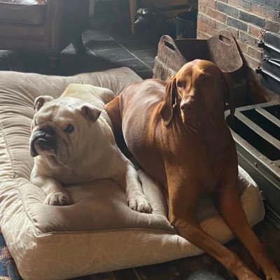 roberti_nicolas's profile picture. Sup?