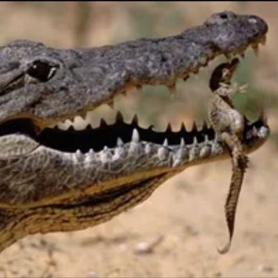 feryadiisyan's profile picture. 