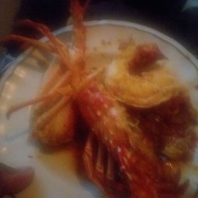 JoelProfeto's profile picture. paz