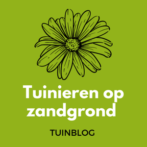 Hobbytuinier die graag ervaringen deelt met anderen. Plantenliefhebber (vooral vaste planten). Trots op onze zelf aangelegde tuin op Brabantse zandgrond.