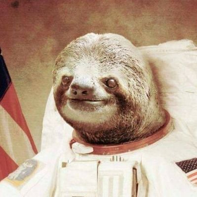 cdelzotti's profile picture. CS student. Passed the kernel verifier.