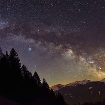 eddcollinsx's profile picture. 