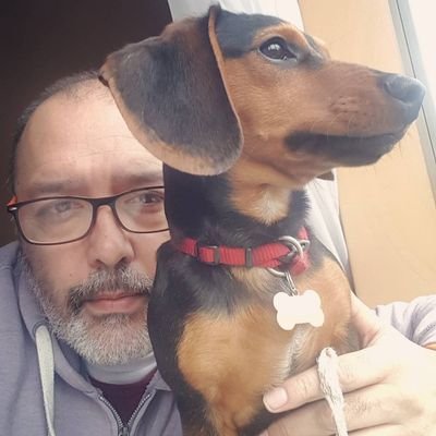 profesorurzua's profile picture. Libros pal que lee!