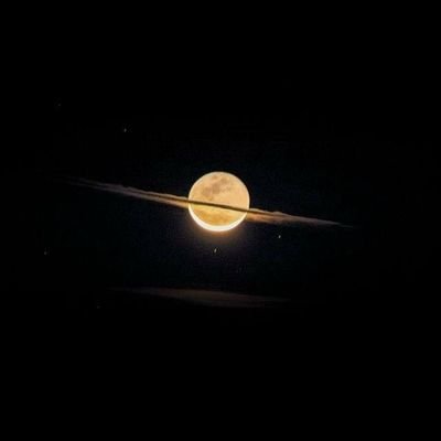 isaoiemous's profile picture. 