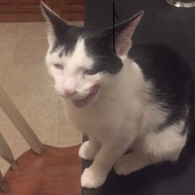 becca___sings's profile picture. 