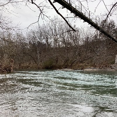 DebbieRitenour8's profile picture. 