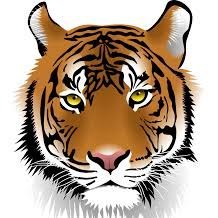 TJPaws's profile picture. 