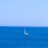 artur_novy's profile image