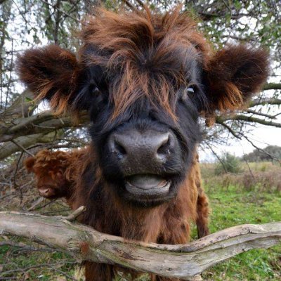 BizzyBeeBabs's profile picture. Just trying to maintain in my old age!!! Try some CBD oil and make your maintenance a daily life lifting positive!