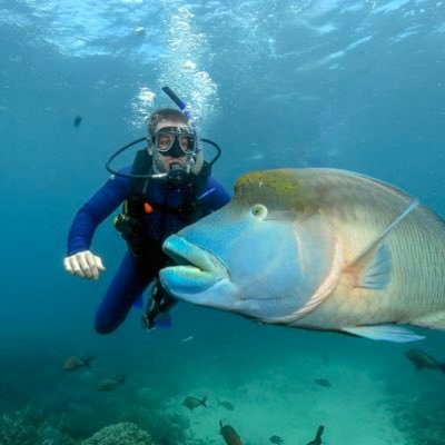 stevecurran13's profile picture. If you can't explain it simply, you don't understand it well enough.