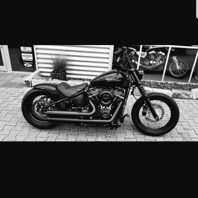 hayro_58's profile picture. 