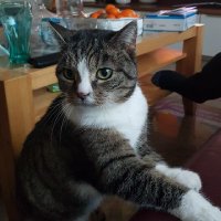 E.Alinak (@erdalalinak) 's Twitter Profile