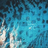 terry chinn (@mountainashes) 's Twitter Profile