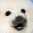 fluffyseal_