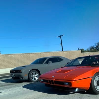 _d_o_g_e's profile picture. $doge supporter of $ada