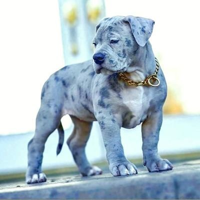 00sleepover's profile picture. she ain't all that playa she just fine