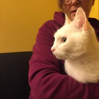 Jean Lotochinski 🟧 🇨🇦 🌈 (@jeanlotochinski) 's Twitter Profile Photo Jean Lotochinski 🟧 🇨🇦 🌈 (@jeanlotochinski) 's Twitter Profile Photo