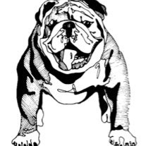 SYMBiiOTCRYPTO's profile picture. #bitcoin #btc
