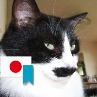 てつひー🇯🇵💫 (@gc8next) 's Twitter Profile