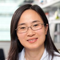Yina Huang (@huang_yina) 's Twitter Profile