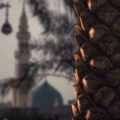 ebtehalta's profile picture. 