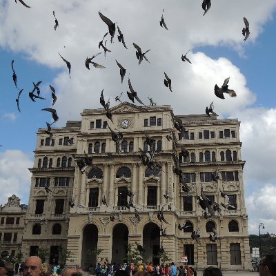 AngelHo29023947's profile picture. 