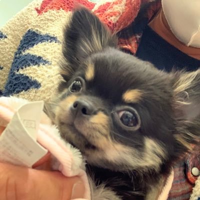 StingRayE38526's profile picture. 