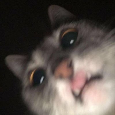 adrnaqaisara's profile picture. :)