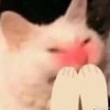 猫掉毛さんのプロフィール画像