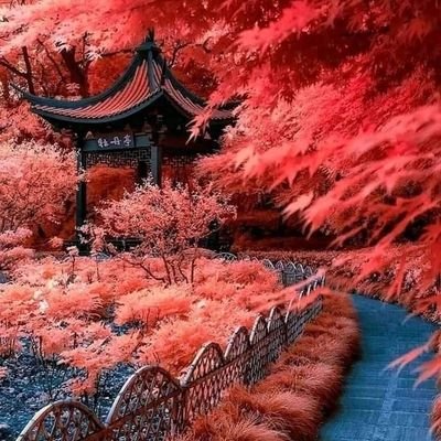 LB5215's profile picture. Leer xD