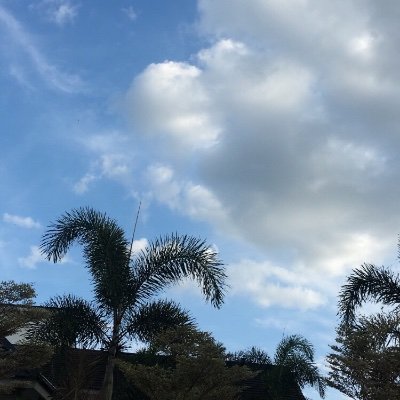 mzhnz1's profile picture. 🌊