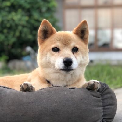 agr_0rp's profile picture. 