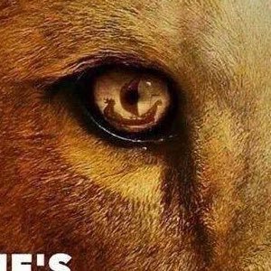 TamaraRaeS's profile picture. ♥️ God, Family, USA, #45