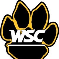 Wayne State Club Baseball (@waynestatebase1) 's Twitter Profile