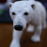 uosao's profile picture. ロードレース、ラーメンズ、コンドルズ、イヌ、ネコ、大泉洋、ダンスにバレエ…好きなものについてたまに呟いてます。