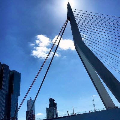 Youllne47892817's profile picture. Daily beauty of Rotterdam