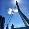 Youllne47892817's profile picture. Daily beauty of Rotterdam