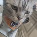 OuO (@realtiny_orange) Twitter profile photo OuO (@realtiny_orange) Twitter profile photo