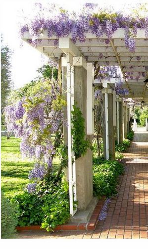 OneWisteriaLane's profile picture. Your Home~Your Life~Your Taste! 
Home Decor, Room Accessories, Bedding & Baby!