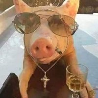 hugues de payns (@markym43539445) 's Twitter Profile