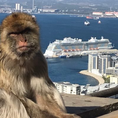 hideo1014's profile picture. 