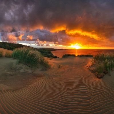 FarmsGei's profile picture. Farmer: (Crop Growing & Processing | Poultry | Forestry | Fishing | Certified Warehouse Ops Specialist| Pro-Good Governance | Chartered SCM Professional |