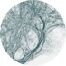 Intermediate Filament Society (@intermediatefil) Twitter profile photo Intermediate Filament Society (@intermediatefil) Twitter profile photo