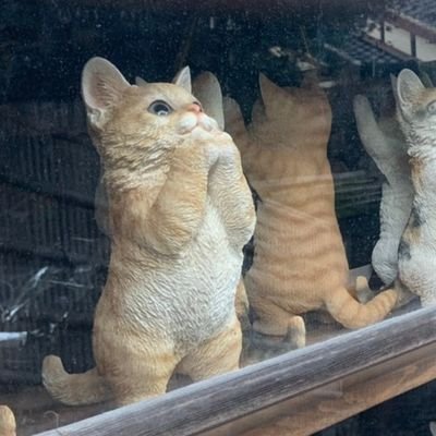 oruni_chin_710's profile picture. UIUXと猫
Adobe/Unity/UE5
−−−−−−−−−−−−−
https://t.co/tZZunr0aMU