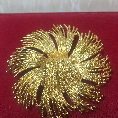 hannaviter's profile picture. My love is vintage jewelry. I love embroidery, crocheting.