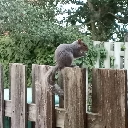 LadyRiderLilly's profile picture. Badass Mom of 1 Badass Kid
Journalist
National Center for Missing & Exploited Children #ncmec
Like: motorcycles, cooking, writing.
Dislike: Trump, Trump, Trump.