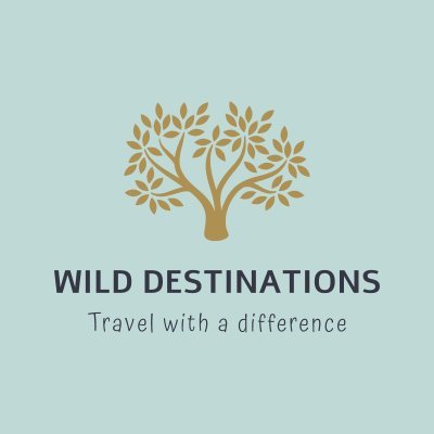 WildDestination Profile Picture