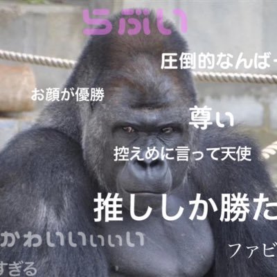 コノハズク よく使う言葉解析アプリ ゴリラ 笑顔 嬉し涙 思う いく 言う 強い 詳しい 重い 勝手 詳細 完全 プレミアムロールケーキ ルシファー ノルマ T Co Aertivdclw コノハズク よく使う言葉解析アプリ ゴリラ 笑顔 嬉し涙 思う いく 言う 強い 詳しい 重い 勝手 詳細 完全 プレミアムロールケーキ ルシファー ノルマ T Co Aertivdclw